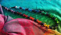 Regenbogen-Harlekin_2