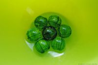 Wasserlinsen